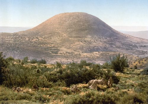 shutterstock_238332301.jpg shutterstock_238332301.jpg